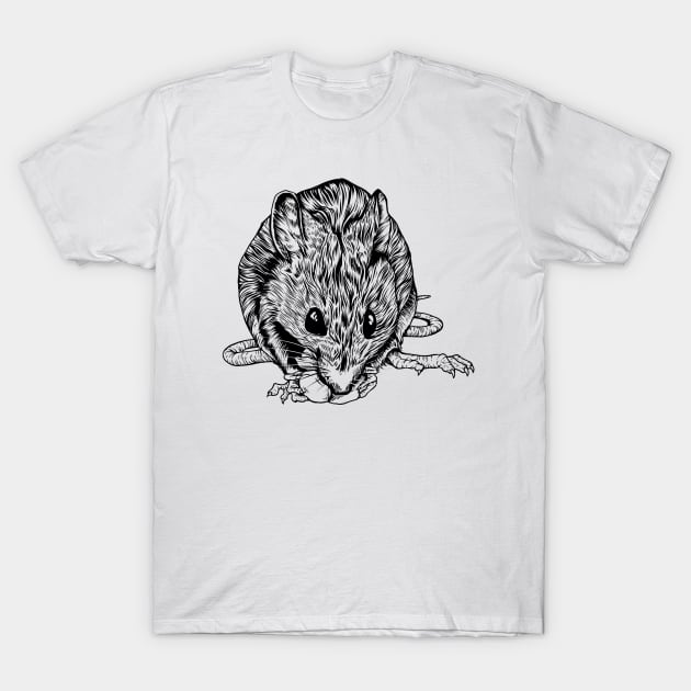 Drawing of a rat T-Shirt by Modern Medieval Design